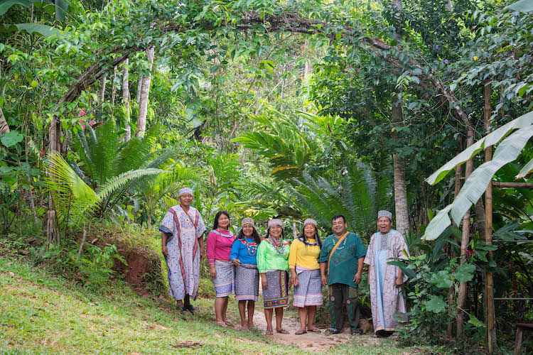 Our team of healers at Temple of the Way of Light Ayahuasca Retreat in Iquitos, Loreto, Peru
