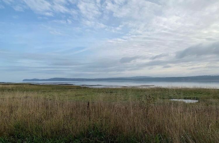 The view from Moon Psychedelics Retreat in Long Beach Washington USA