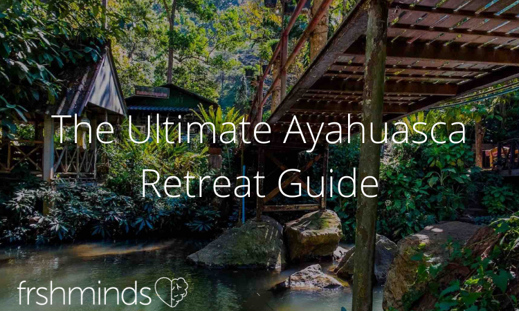 Use frshminds Ayahuasca retreat guide to help you select your next retreat