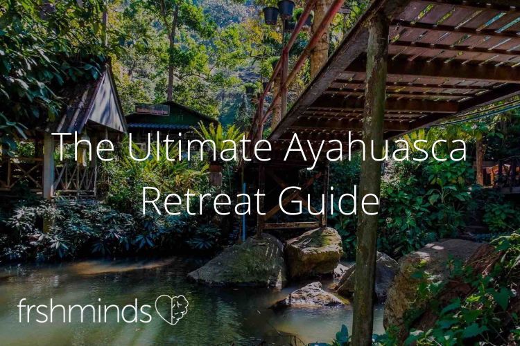 Use frshminds Ayahuasca retreat guide to help you select your next retreat