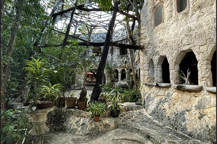 Ancient style garden at Life Synergy Psilocybin Retreat Playa del Carmen Mexico
