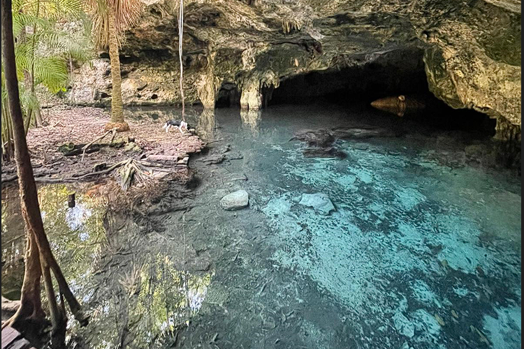 Small cave view at Life Synergy Psilocybin Retreat Playa del Carmen Mexico