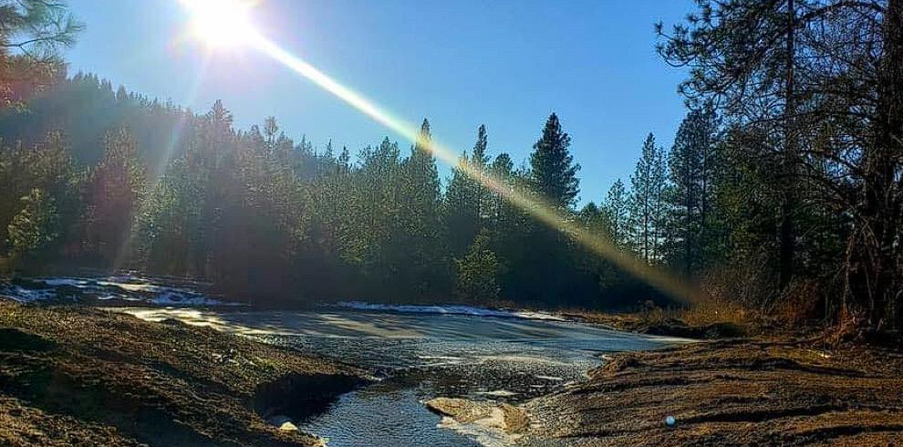 The late with intense healing energy at Meehl Foundation Psilocybin Retreat Springdale Washington