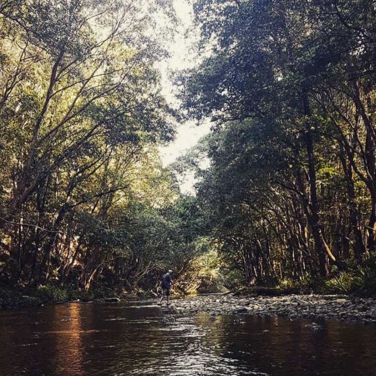 A trip down the river near Medicina Del Sol, Iquitos, Peru