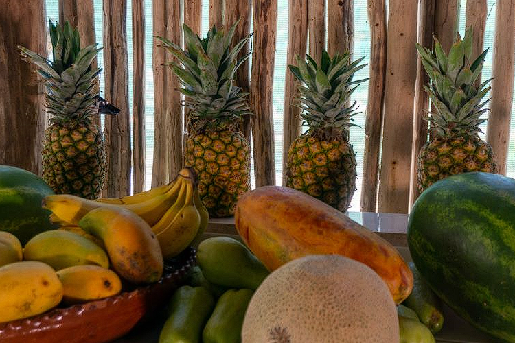 Healthy and fresh fruits at Bluestone Ayahuasca Retreat Cancun Mexico