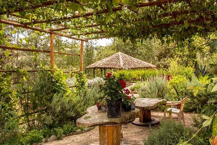 Smell the fresh air at the clean and green garden at Gaia Sagrada Ayahuasca Retreat Cuenca Ecuador