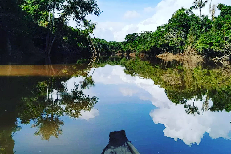 Navigating through the tranquil beauty of the lake's embrace, where every ripple tells a story of serenity at Medicina del Sol Ayahuasca Retreat Iquitos Peru