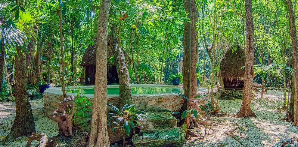 A pool oasis amidst trees, where the cottage coziness meets nature's serenade at One Breath of Yoga Psychedelic Retreat Puerto Morelos Mexico