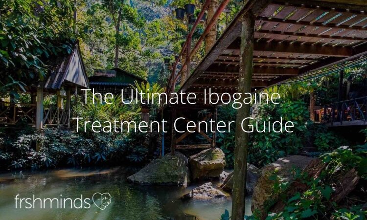 Ibogaine Treatment Center Guide