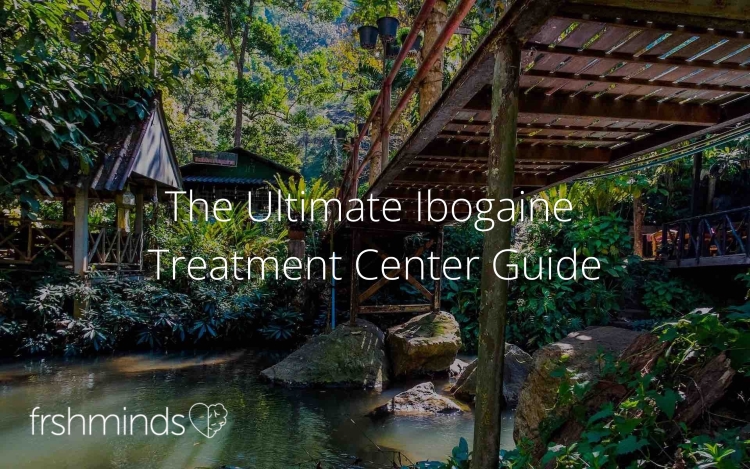 Ibogaine Treatment Center Guide