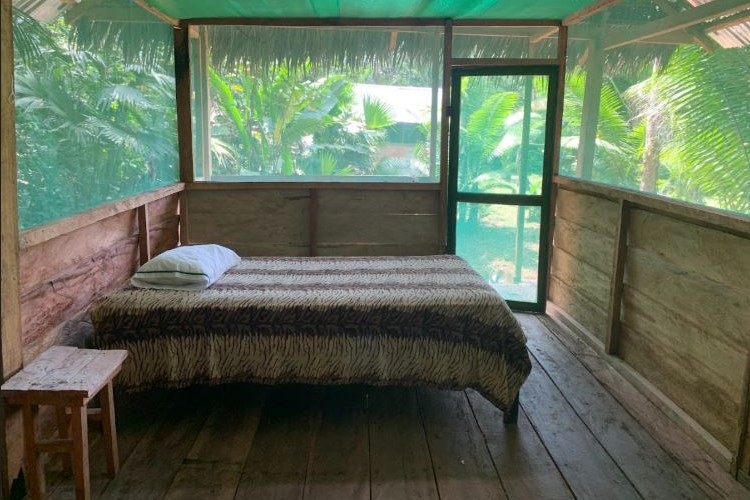 Simplicity finds its truest form in this tranquil forest haven, where the unadorned bedroom whispers of peaceful nights and nature's lullabies here at Ayaymama Mystic Ayahuasca Retreat in Iquitos, Peru