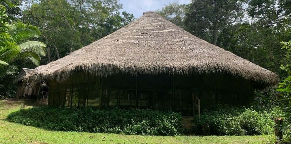 Rediscover your roots in the heart of the forest, where the retreat center becomes your haven of tranquility here at Ayaymama Mystic Ayahuasca Retreat in Iquitos, Peru