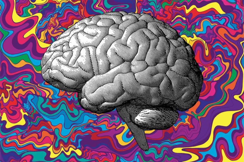 5-MeO-DMT has beneficial impacts on brain health