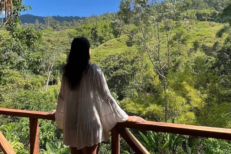 Lost in the embrace of nature's grandeur, our retreat center offers a breathtaking blend of forest serenity and majestic mountain vistas here at Lawayra Ayahuasca retreat in Fredonia, Colombia