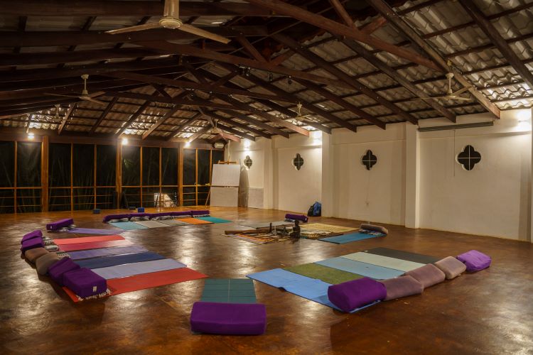 Harmonizing Space: Where Yoga Meets Sound Healing, and Souls Find Tranquil Resonance here at Peace Retreat Costa Rica - Psilocybin and Ayahuasca Retreats in Paraiso