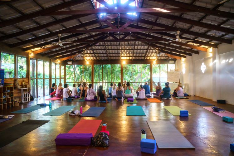 Captivated by Wisdom: A Gathering of Seekers, Embracing Inspirational Messages in Retreat at Peace Retreat Costa Rica - Psilocybin and Ayahuasca Retreats in Paraiso