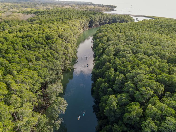 Journeying Through Nature's Canvas: Boating Amidst the Enchanted Forest, Where Adventure Awaits here at Peace Retreat Costa Rica - Psilocybin and Ayahuasca Retreats in Paraiso