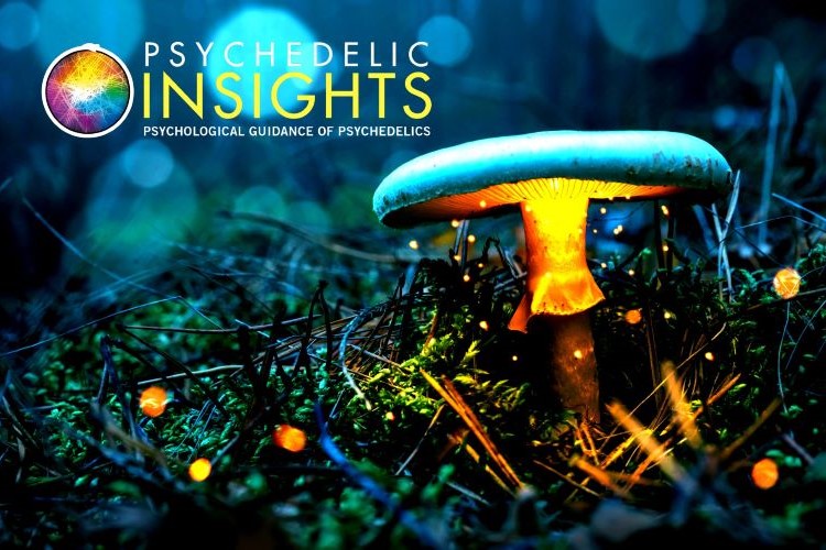 Unveiling new dimensions of consciousness at our transformative retreat here at Psychedelic Insights Psilocybin Retreat in Amsterdam, Netherlands