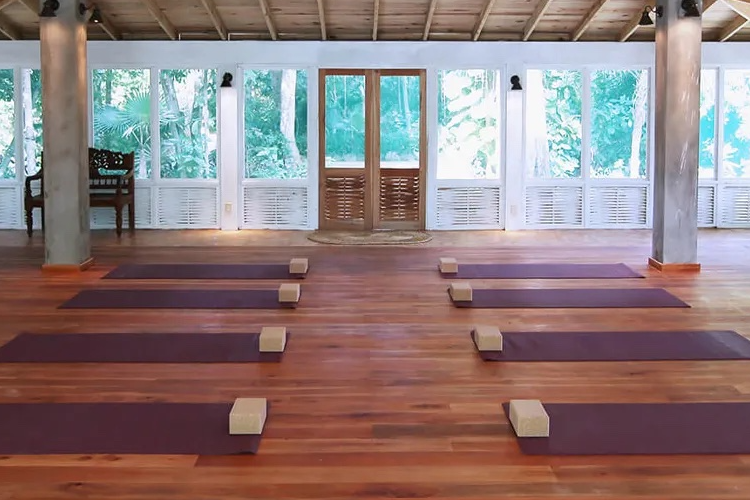 Immerse yourself in the quietude of our yoga studio, where the gentle whispers of breath harmonize with the stillness within. Feel the energy of the space guide you through a transformative practice, surrounded by serenity and the essence of self-discovery here at ONE Retreats Psilocybin Retreats in West End, Negril, Jamaica.