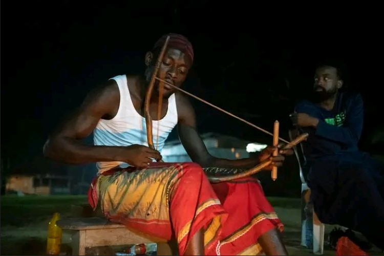 The haunting melody of the Mougongo weaves a tapestry of sound that transports the soul, deepening the connection to the ancestral wisdom and the rhythms of the Iboga medicine.